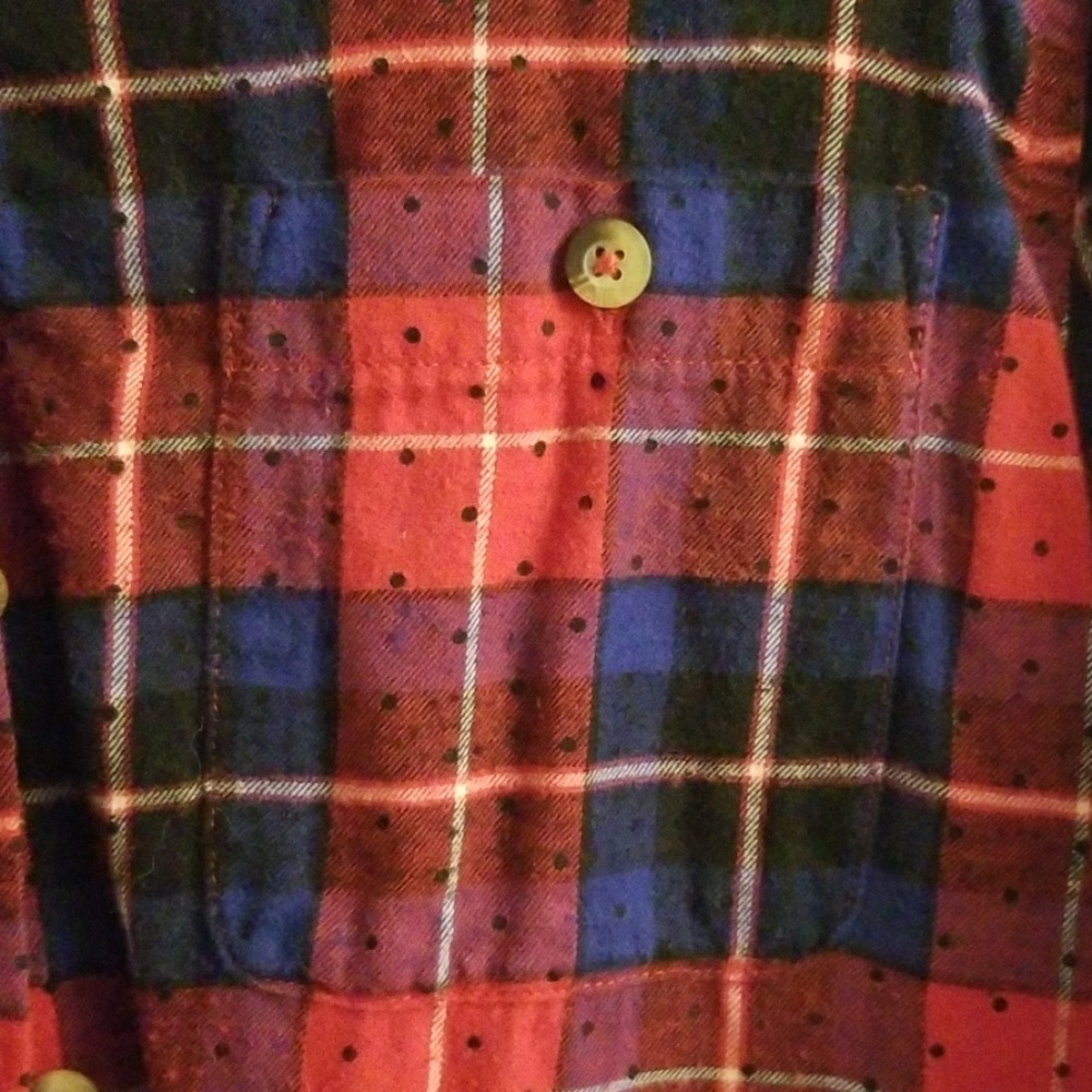 Red and blue flannel - Picture 2 of 4